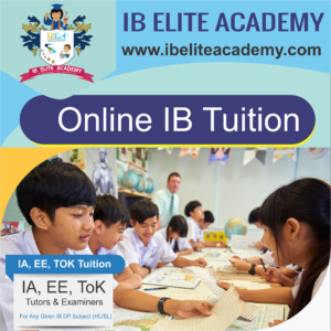 IB Elite Academy